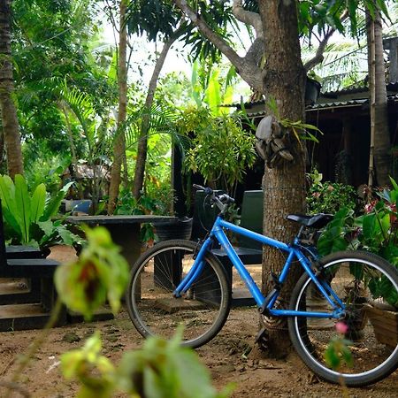 One More Night Hostel Sigiriya Exterior foto