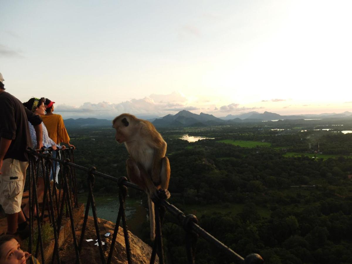 One More Night Hostel Sigiriya Exterior foto