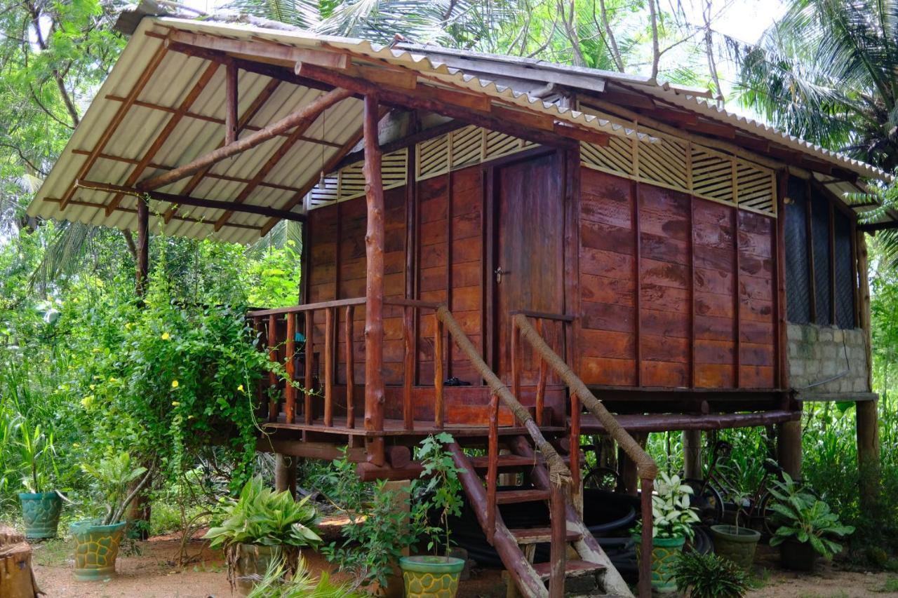 One More Night Hostel Sigiriya Exterior foto