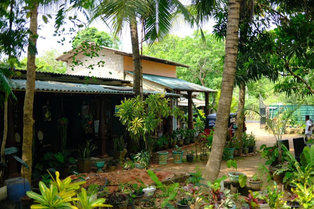 One More Night Hostel Sigiriya Exterior foto