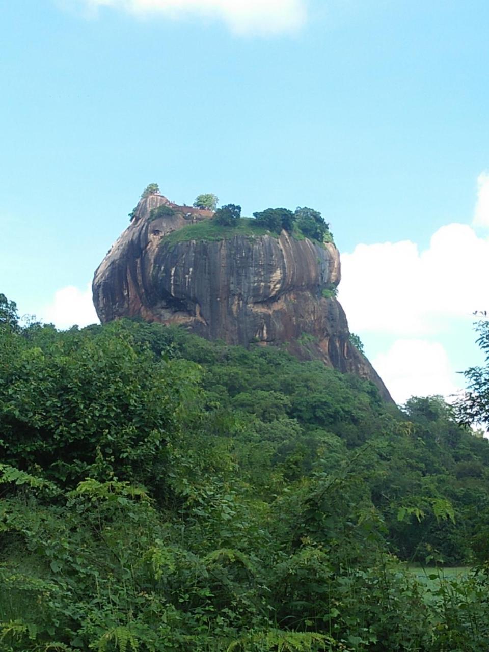 One More Night Hostel Sigiriya Exterior foto